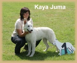 Kaya