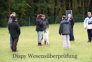 Treffen 2011