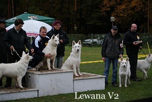 Treffen 2011