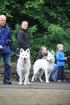 Welpentreffen_2009