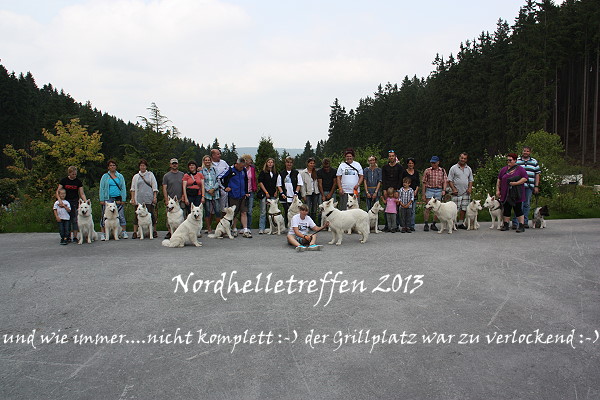 Welpentreffen 2013