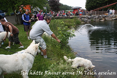 Welpentreffen 2013