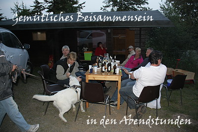 Welpentreffen 2013