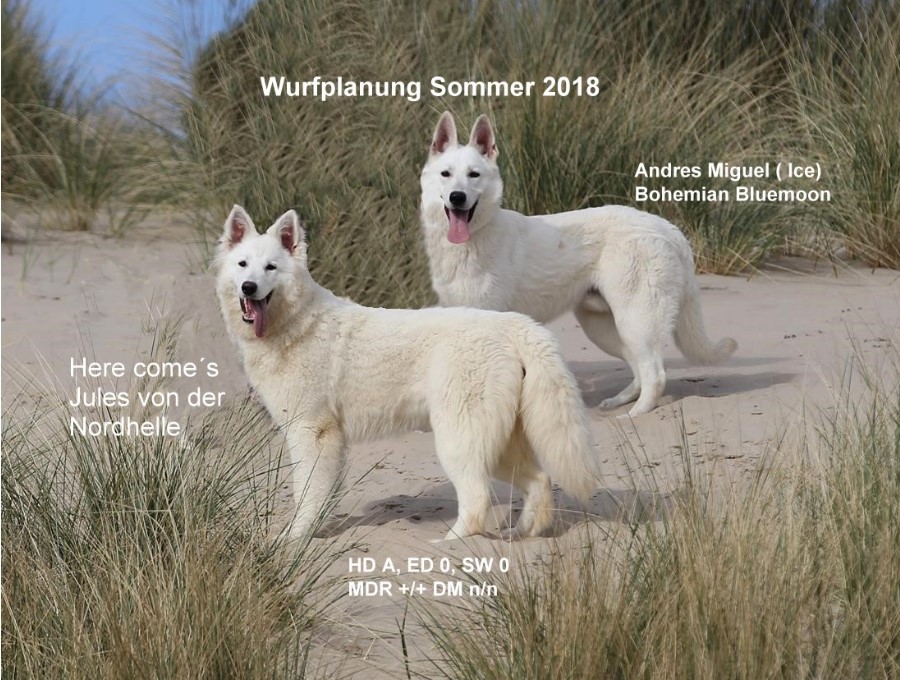 Kuper